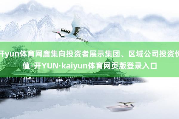 开yun体育网麇集向投资者展示集团、区域公司投资价值-开YUN·kaiyun体育网页版登录入口