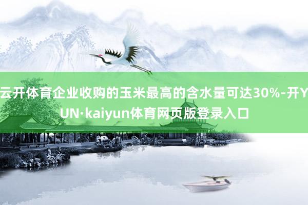 云开体育企业收购的玉米最高的含水量可达30%-开YUN·kaiyun体育网页版登录入口